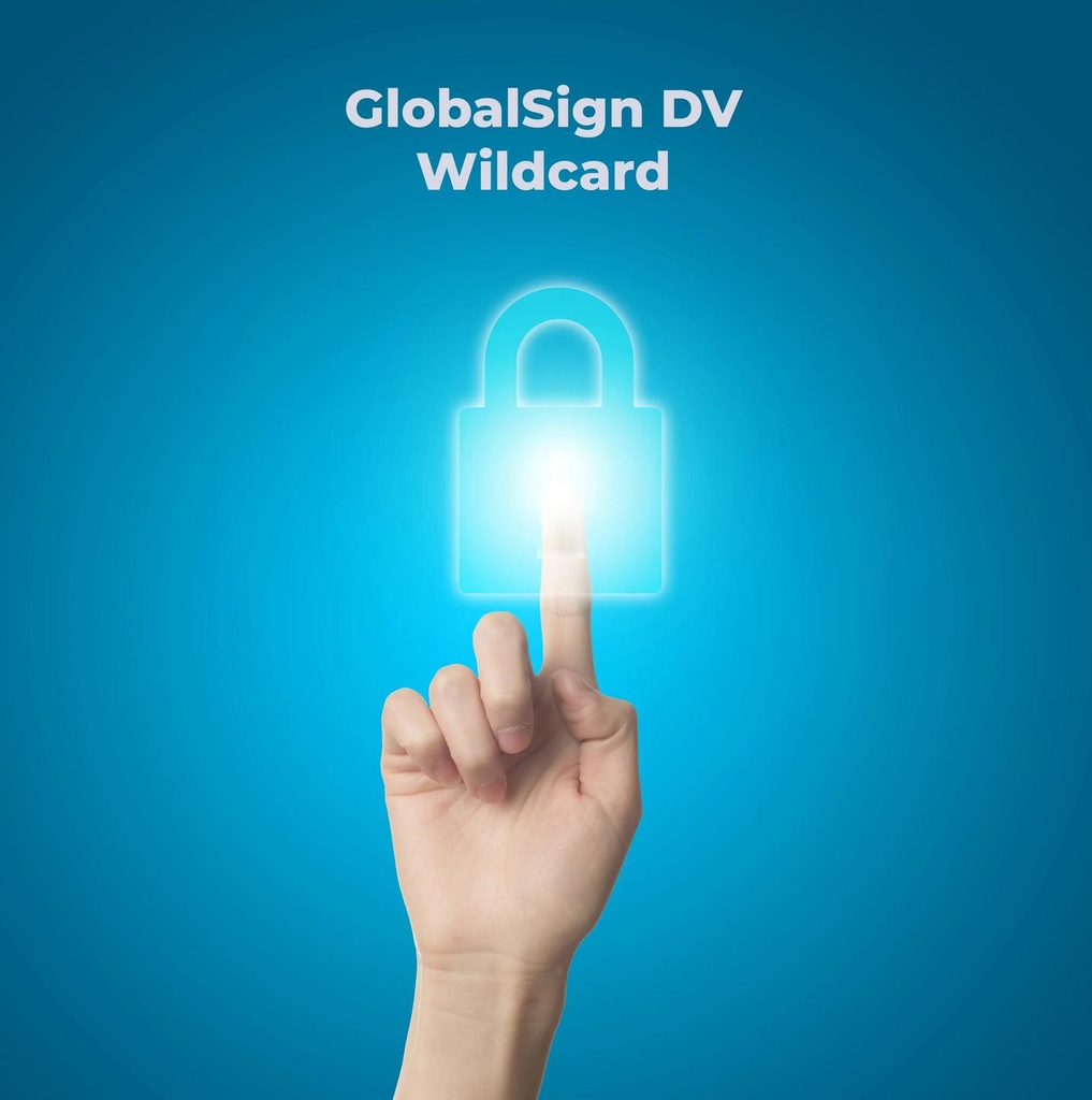 GlobalSign DV Wildcard SSL